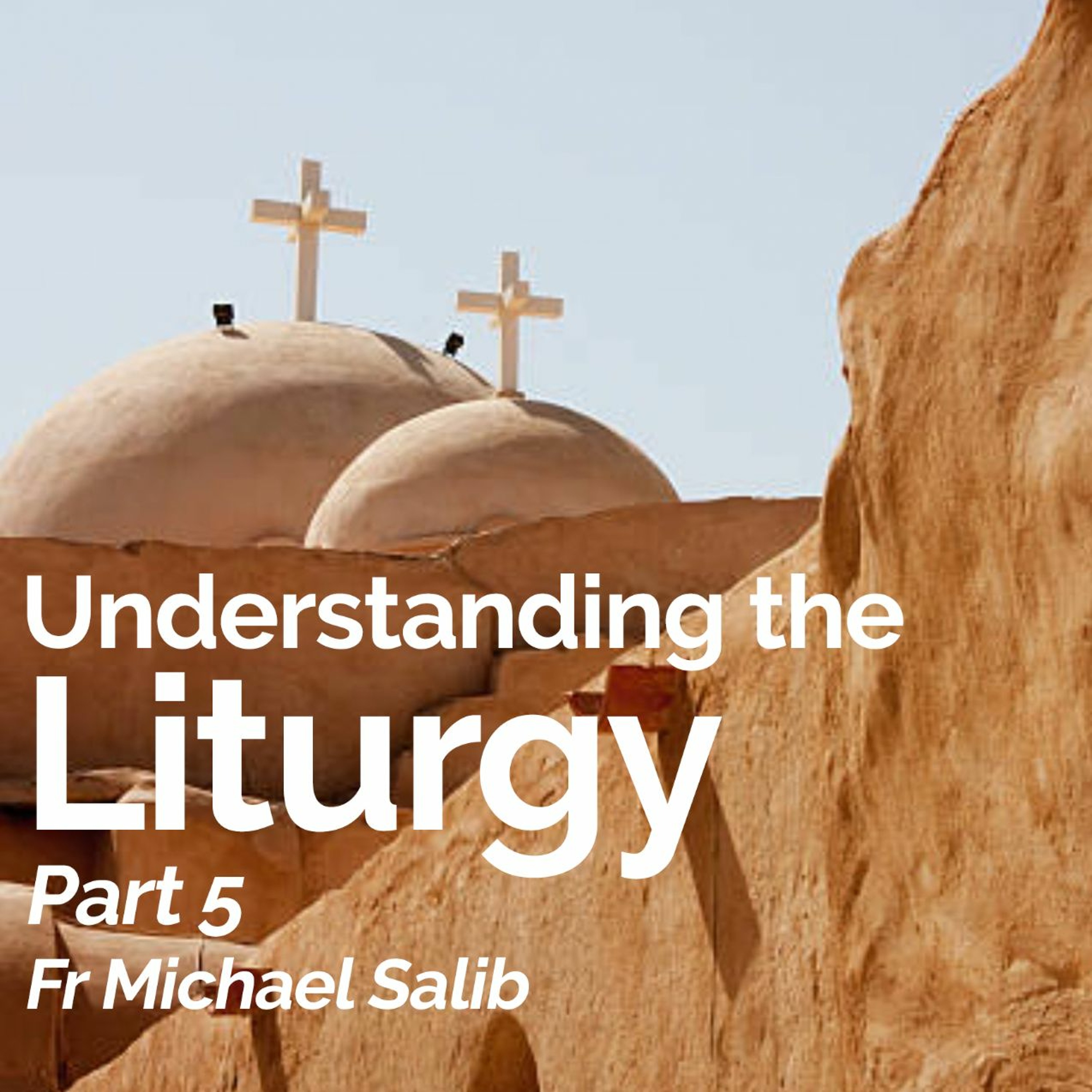 Understanding The Liturgy – Part 5 – Fr Michael Salib