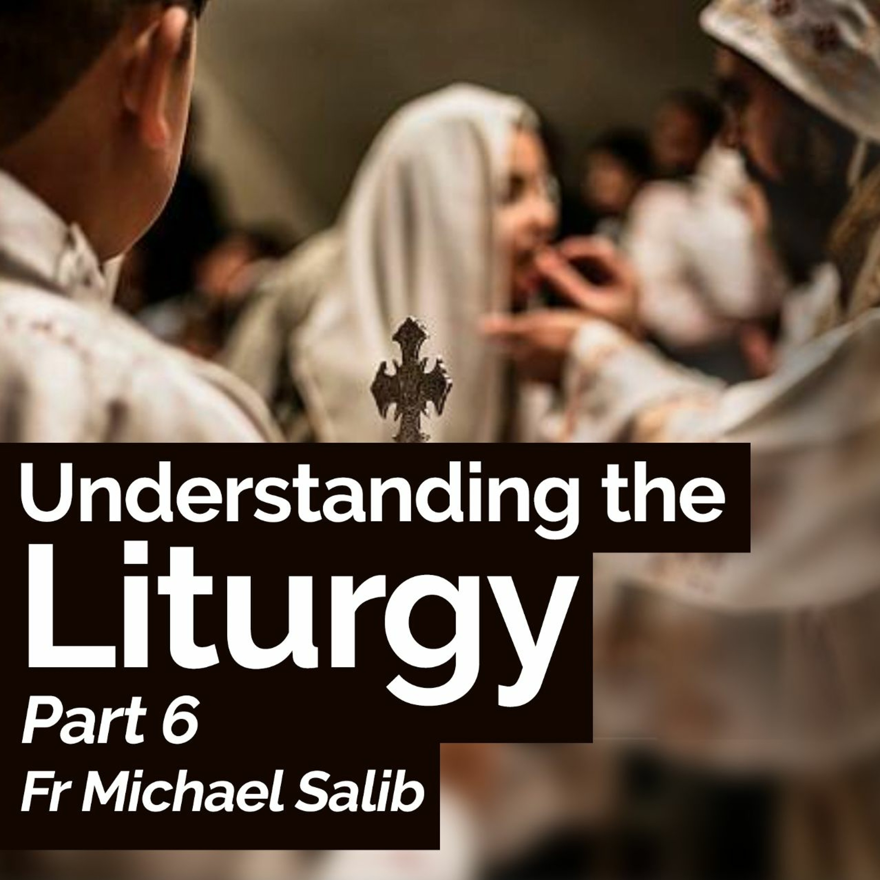 Understanding The Liturgy – Part 6 – Fr Michael Salib