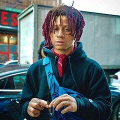 Trippie Snippets