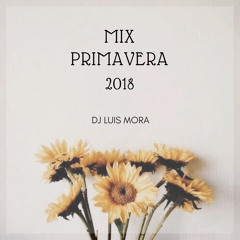 DjLuis Mora - Mix Primavera 2018