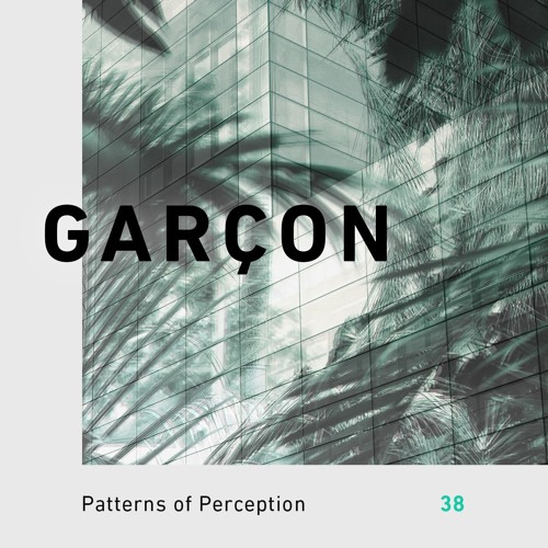 Patterns of Perception 38 - Garçon