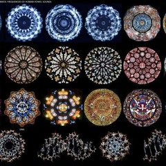 Cymatics Echo 155