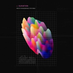 Elevation ( Prod. Monsieur Singe x TonyBrian