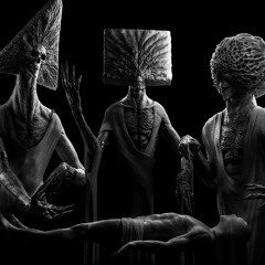 MuK X Blacktip - Hidden