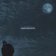 Одинокий Волк