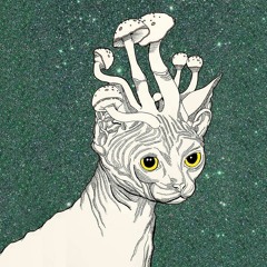 Klanglos Set [Acid Techno]