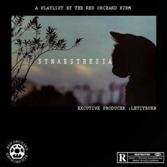 SGH - LETITBURN X DANCOHOMEALONE X SAUCY FOX [Prod. by LETITBURN]