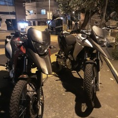 == MC CAMILY E MC MOANA - RITMO DOS FAIXA PRETA [DJ FP DO TREM BALA & DZ MARTINS]