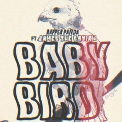 Baby Bird Ft. Jxmes The Saiyan X Panda Rapper
