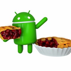 Hire Android Application Developer Firm in New York