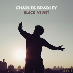 Charles Bradley - Can't Fight The Feeling