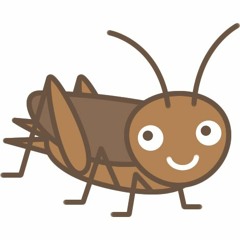 秋の虫 コオロギ 茅ヶ崎20180906 - 2230 Cricket, Autumn of Japan.