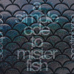101.1 A Simple Ode To Mister Fish [electroswing] 2014