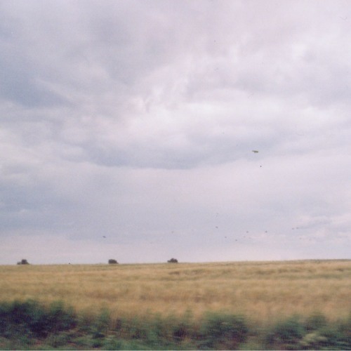 lonesome