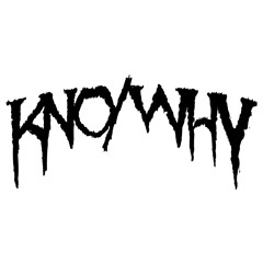 Skinbone - 100 Miles (KNO/WHY Remix)