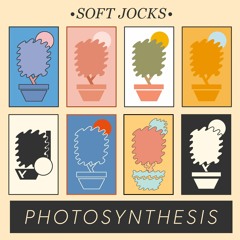 PHOTOSYNTHESIS