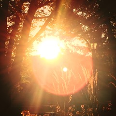 Wake Me (Feat Matt Kali)