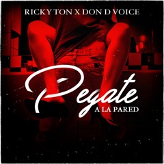 Pegate A La Pared - Don D Voice X RickyTon