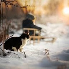 Winter Morning Nostalgia