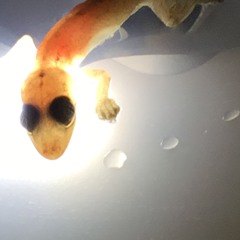 I don’t do parties