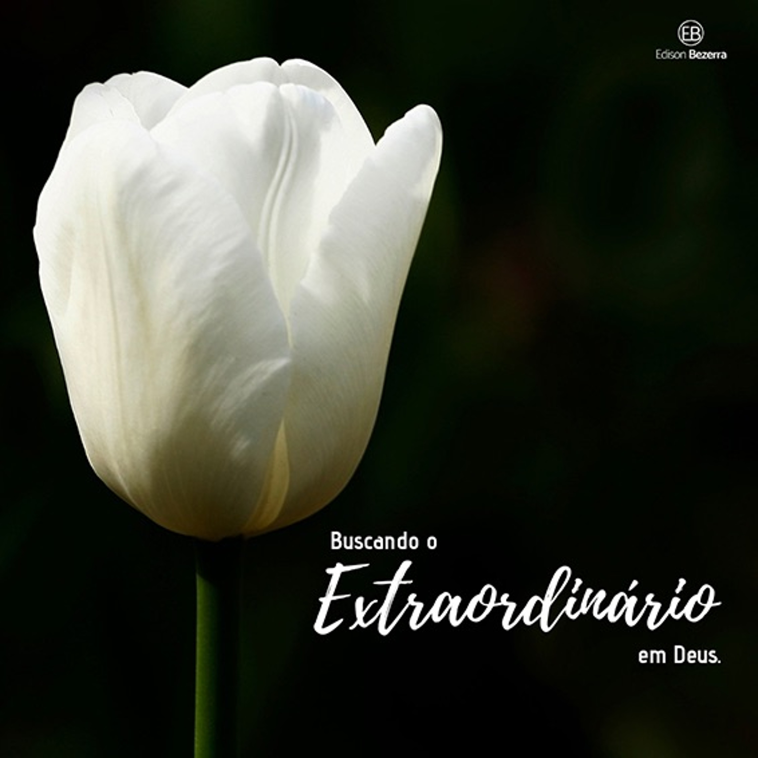 Identidade | Propósito | Destino