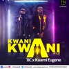 Tic X Kwame Eugene _ Kwani Kwani Pt2 Mp3