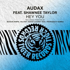Audax & Shawnee Taylor - Hey You (Original Radio Edit)