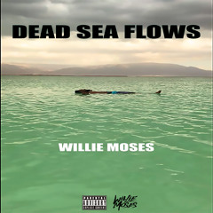 Dead Sea Flows