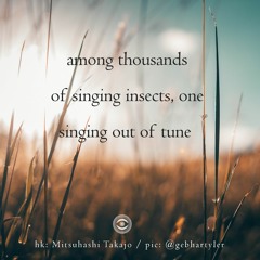Haiku #244: among thousands / of singing insects, one / singing out of tune