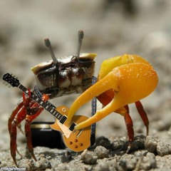 Anyway, here's Crab Rave