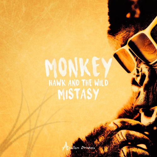 Hawk And The Wild & Mistasy - Monkey