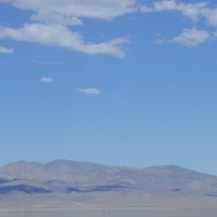 Destroy Me Gently (Pulses At The Trash Fence Mix)