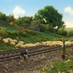 Series 7 - Driving The Sheep Away