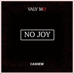 CASHEW x Valy Mo - No Joy (Remix)