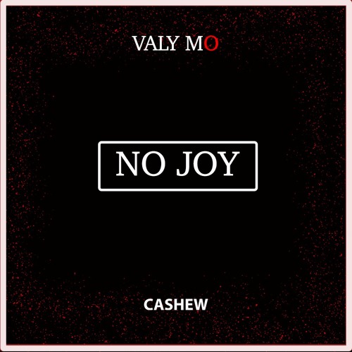 CASHEW x Valy Mo - No Joy (Remix)