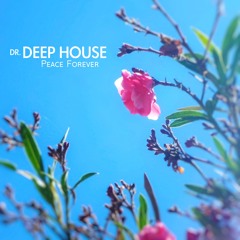 Dr. Deep House - Approaching IBZ 24
