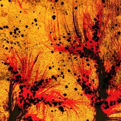 D.W - The Antagonist