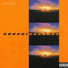 Wanbs - Consciousness
