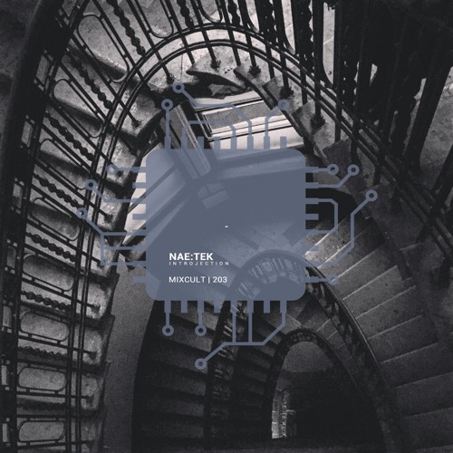 MixCult Radio Podcast # 203 Nae:Tek - Introjection (2018)