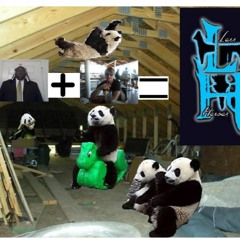 Pandas In the Attic