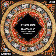 Integral Bread - Diplodocus (Ziger Remix)  [UNIVACK]