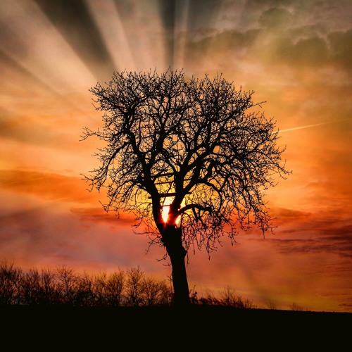 برامج إذاعة القرآن الكريم