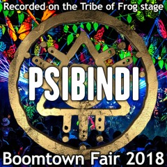 Psibindi - Recorded on the Tribe of Frog stage at Boomtown 2018