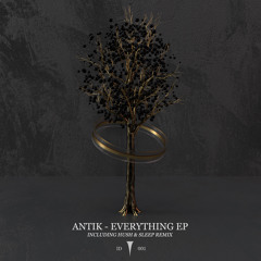 Premiere: Antik - Everything (Hush & Sleep Remix) [Infinite Depth]
