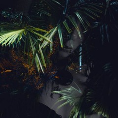 Venus Angel - Mystical Herbal (Original Mix)