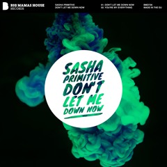 Sasha PRimitive - Don't Let Me Down Now