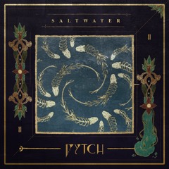 Fytch - Saltwater