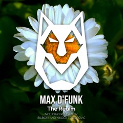 The Realm (Nikola Todorovic Remix)