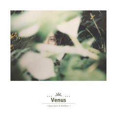 Venus (feat. Jayne Joyce)