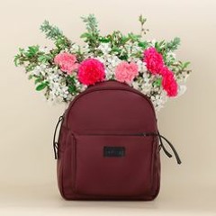 Pilgerweg (Going To Santiago)